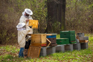 Pure natuurlijke rauwe honing uit Griekenland en Portugal